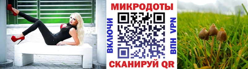 Галлюциногенные грибы мицелий blacksprut Карпинск даркнет сайт